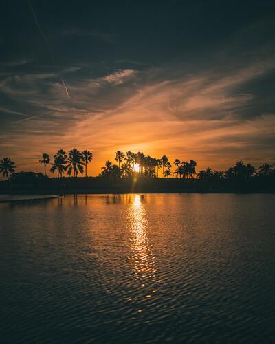 Nature Album